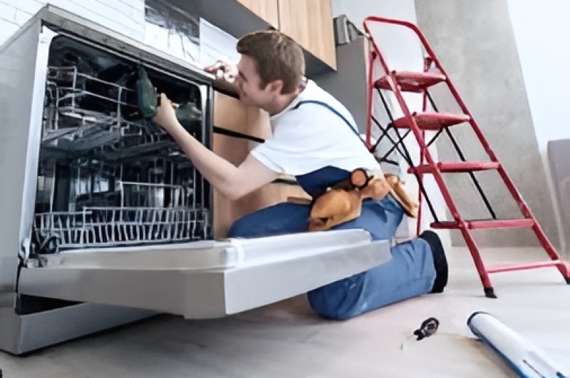 Dishwasher repair in Rancho San Diego